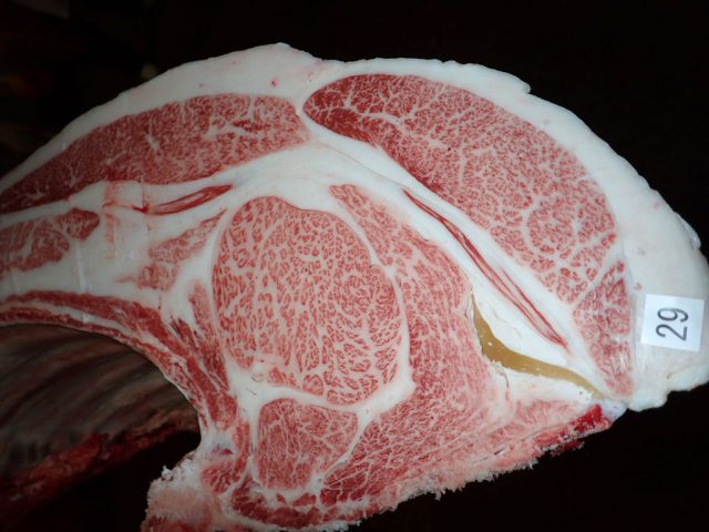 若百合号産子枝肉：平成30年度 鹿児島県肉牛枝肉共進会 最優秀賞4席